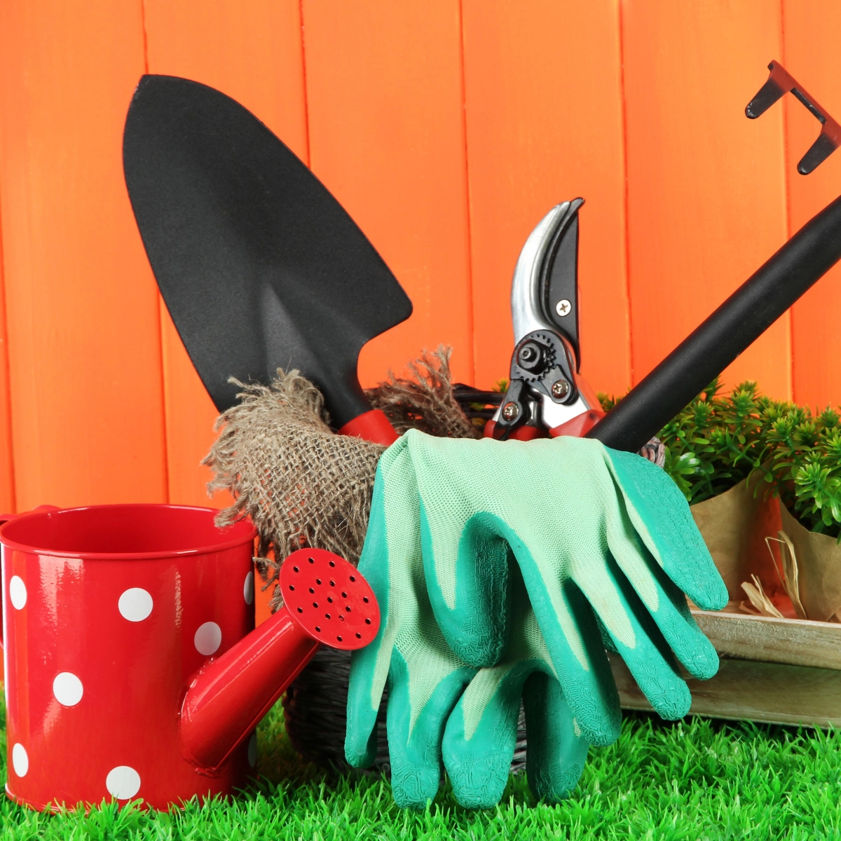 Entretenir votre abri de jardin organisé