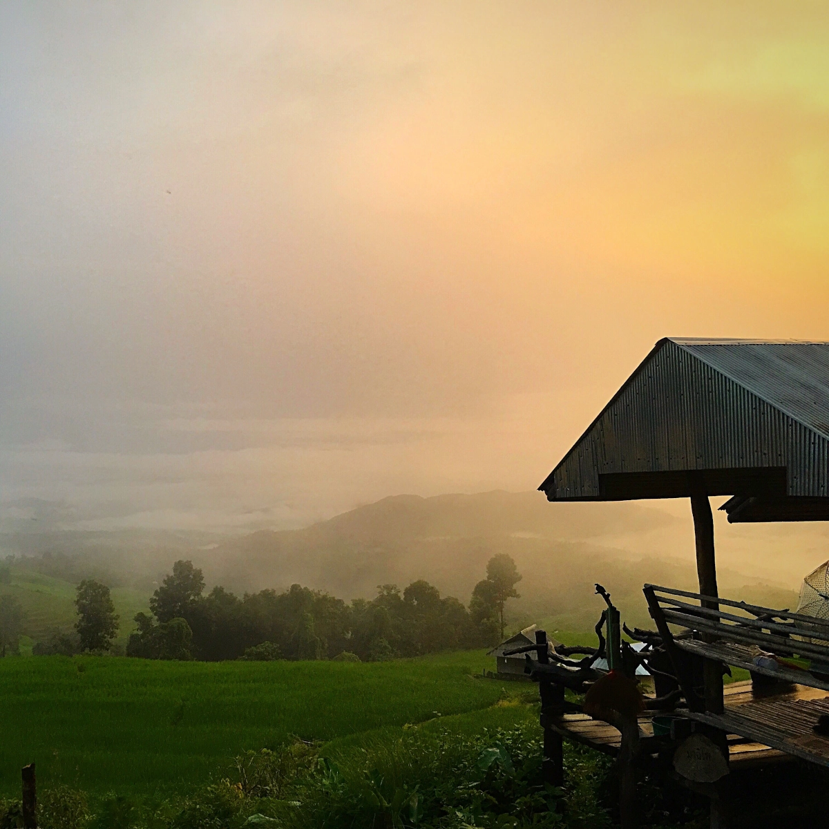Tonnelle au crépuscule