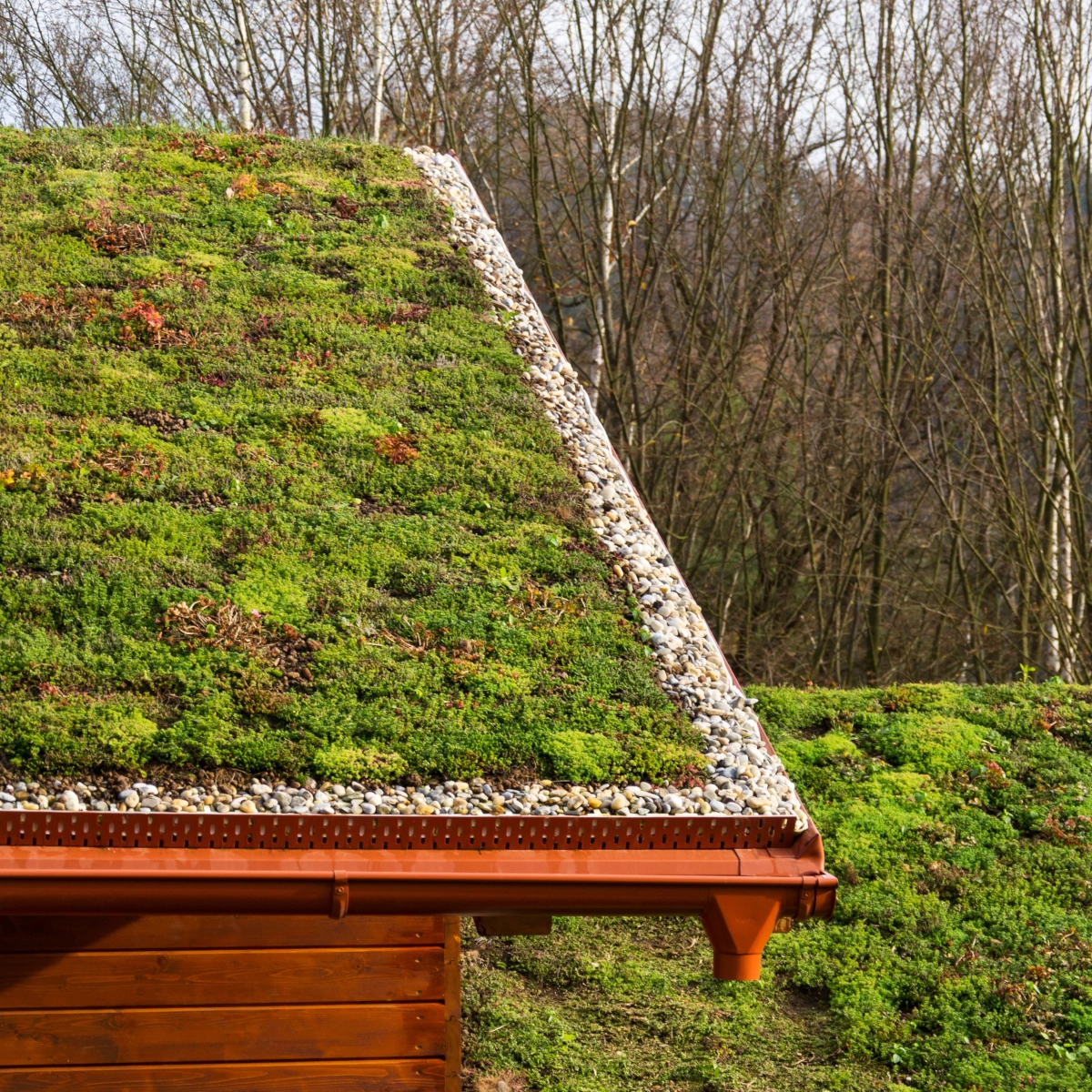 Roof covered in moss and small plants for eco-friendly design and natural insulation.