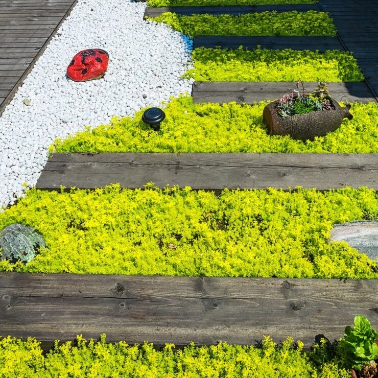  Facilité d'installation