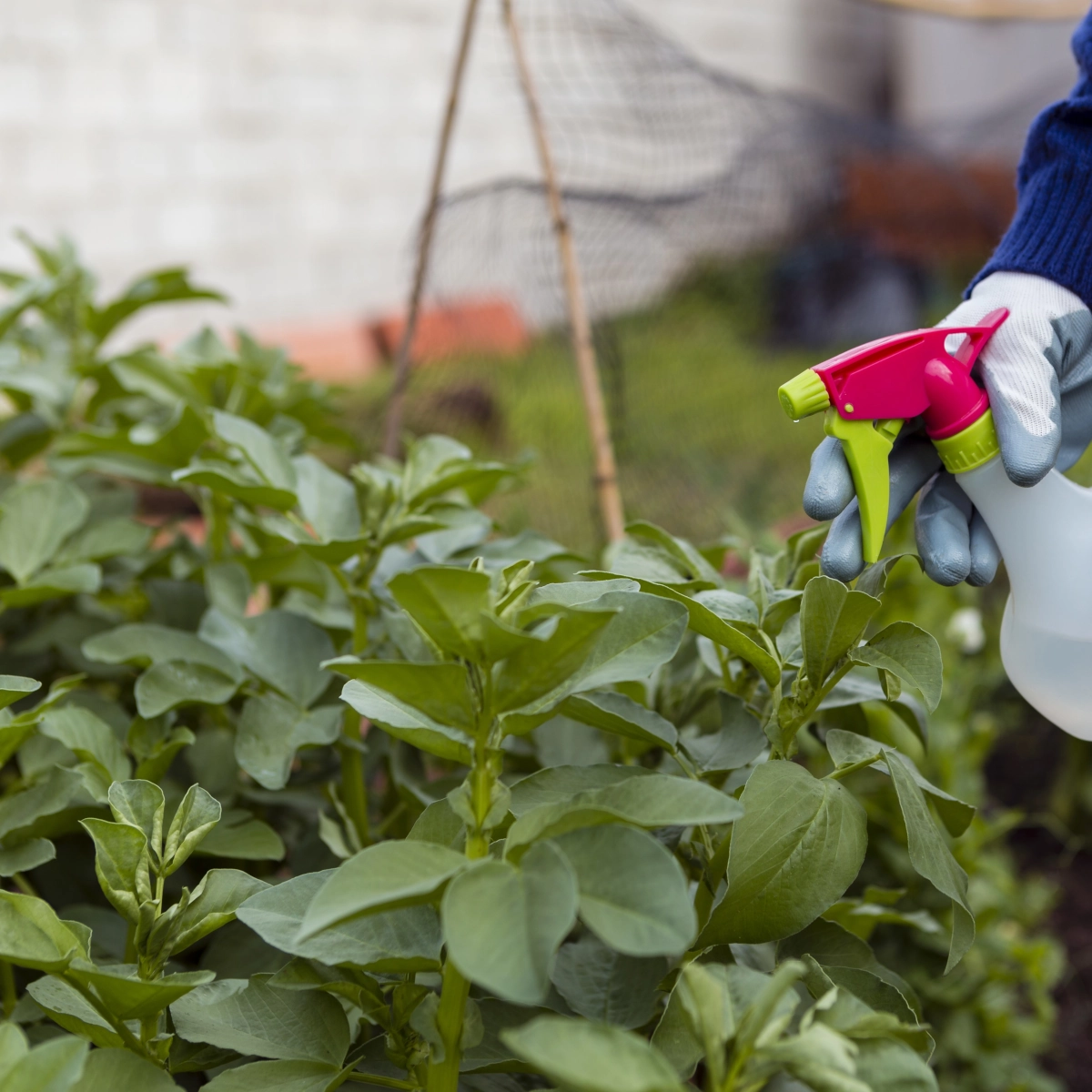 Méthodes manuelles d’arrachage des mauvaises herbes